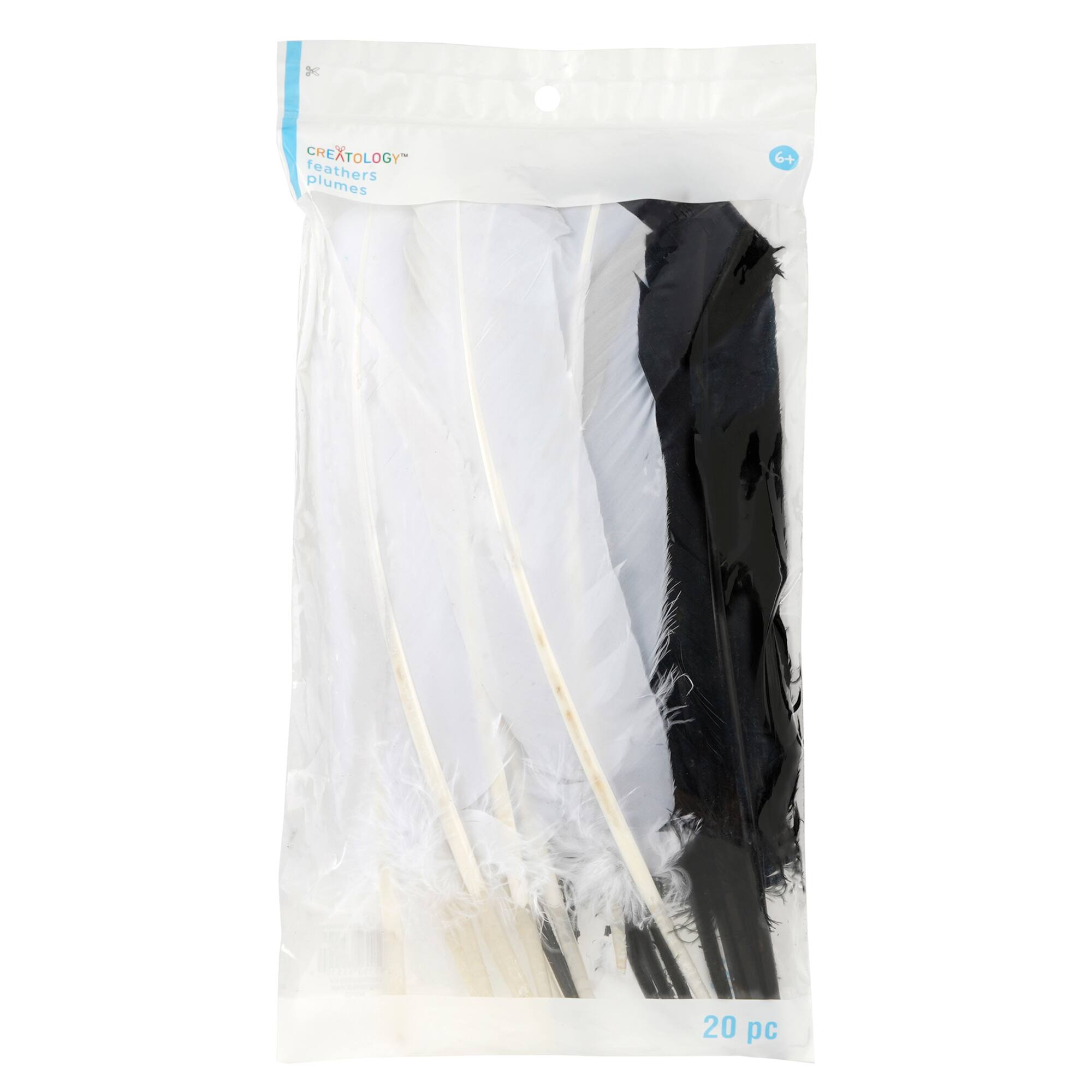 12 Packs: 20 ct. (240 total) Black & White Quill Feathers by Creatology™